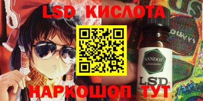 индика Новодвинск