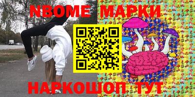 индика Новодвинск
