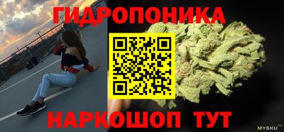 круглые Новокубанск