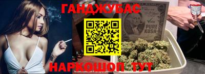 индика Новодвинск