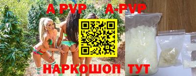 индика Новодвинск