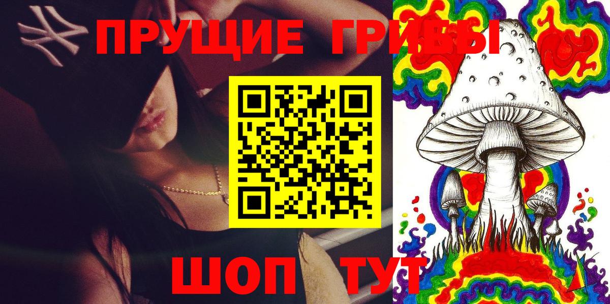 Псилоцибиновые грибы Cubensis Глазов