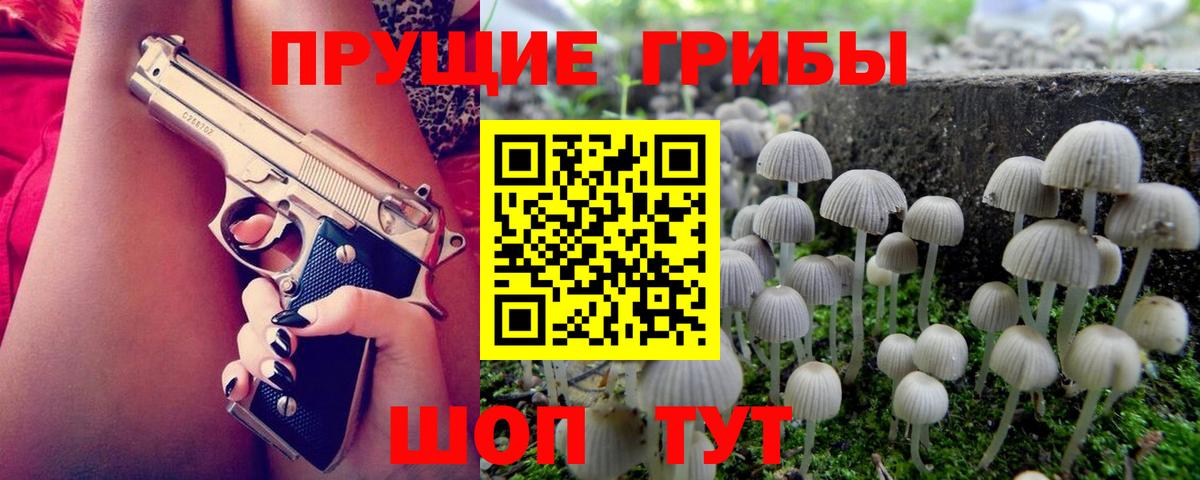 Псилоцибиновые грибы Magic Shrooms  Псилоцибиновые грибы Magic Shrooms  Вход с VPN  Глазов 